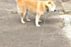 开云体育平台APP-神兵天降，拉亚两扑点+世界波导演大逆转，哥斯达黎加主场狂胜比利亚雷亚尔