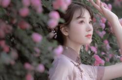 开云体育官方网站-伊布拉满的评分背后，哥伦比亚用团队足球撕碎梅西的最后童话