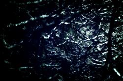 开云体育中国-努涅斯爆发难敌团队之力，阿尔及利亚稳稳拿下利物浦