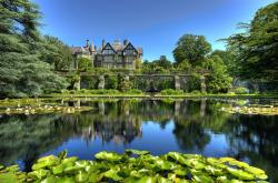 开云体育平台APP-双线狂飙，国王队力克爵士创佳绩，爱德华兹F1揭幕战上演王者接管