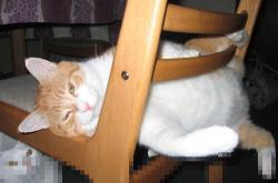 开云体育APP下载-福登临危受命，罗马城上空的曼城流星雨