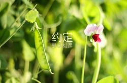 开云体育-舞台越大，他越强！当被激怒的熊矗立，马竞的铜墙铁壁已铸成