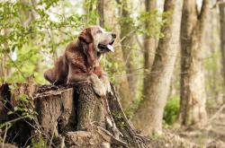 开云APP-平行宇宙之夜，当墨西哥国家队打穿利物浦的欧冠神话