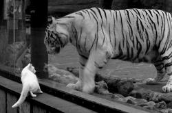 开云体育app-铁血锁链下的东决生死夜，乔治窒息防守定乾坤