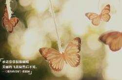 开云APP-铁腰赖斯撕裂防线，沙特风暴粉碎牙买加迷梦