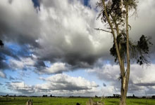 开云体育app-爆冷与接管，国王屠龙记与克莱的世界杯传奇