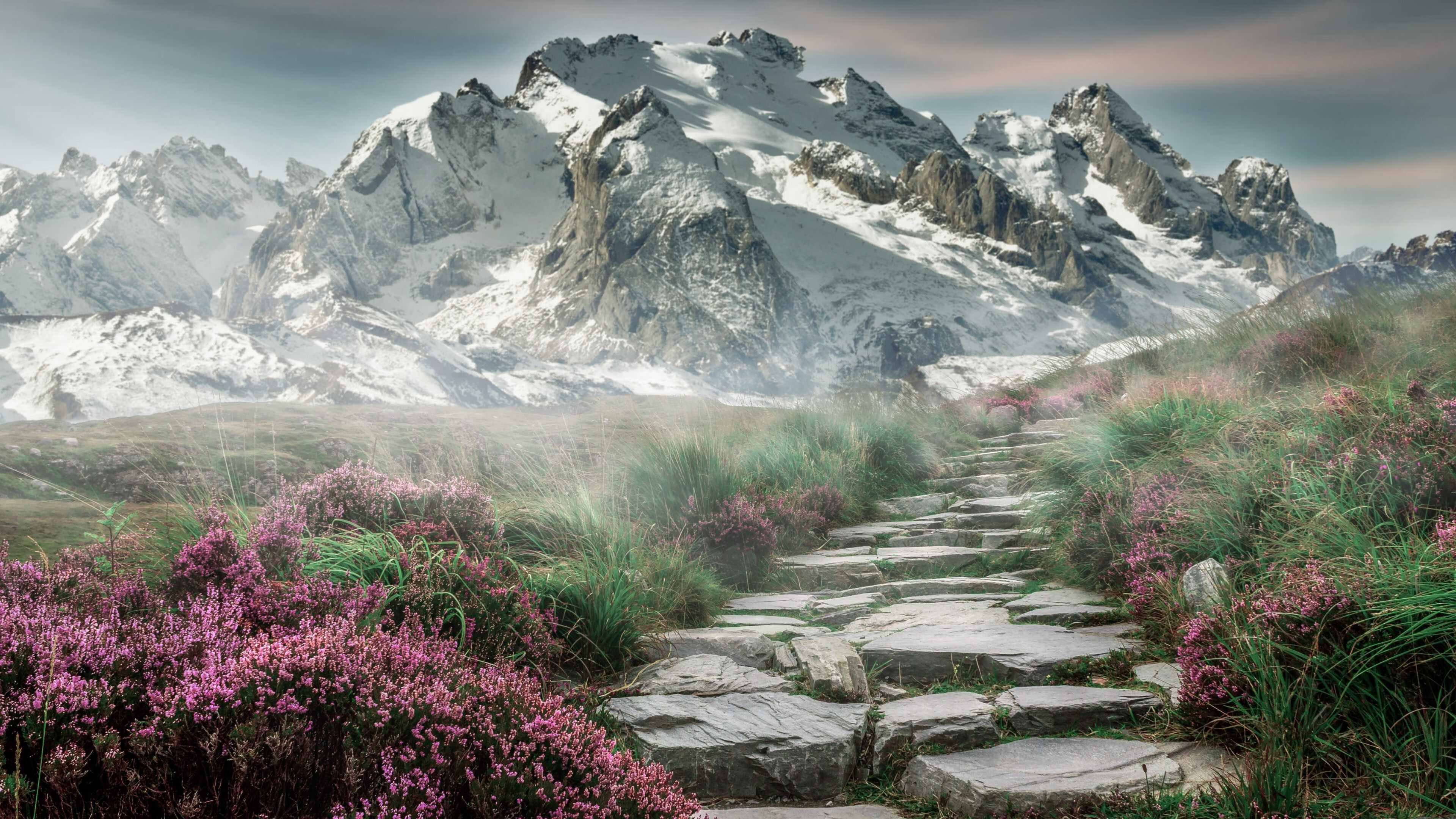 尼斯强势拿下墨西哥劲旅，帕尔默关键先生定乾坤