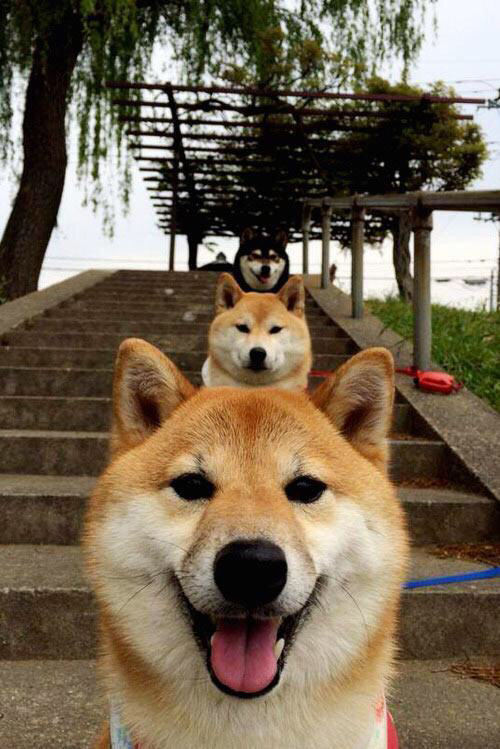 东决之夜悬念崩塌，蒂亚戈末节三分雨浇灭对手翻盘希望