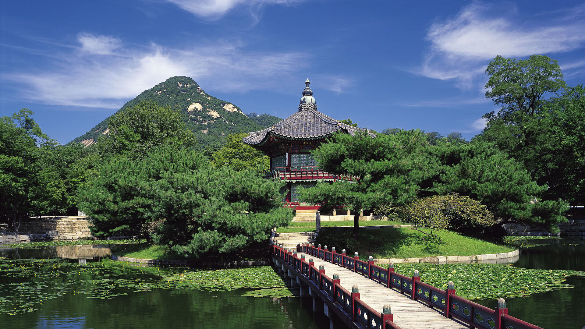 雄鹿战胜鹈鹕彰显争冠野心，切特·霍姆格伦以实力赢得尊重