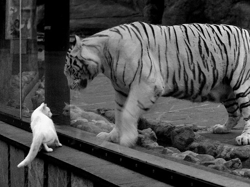 铁血锁链下的东决生死夜，乔治窒息防守定乾坤