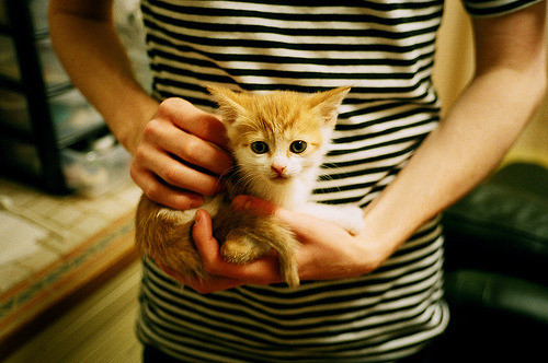 跨洋征途显锋芒，尼斯美国行强势晋级，卡瓦哈尔攻防一体闪耀全场