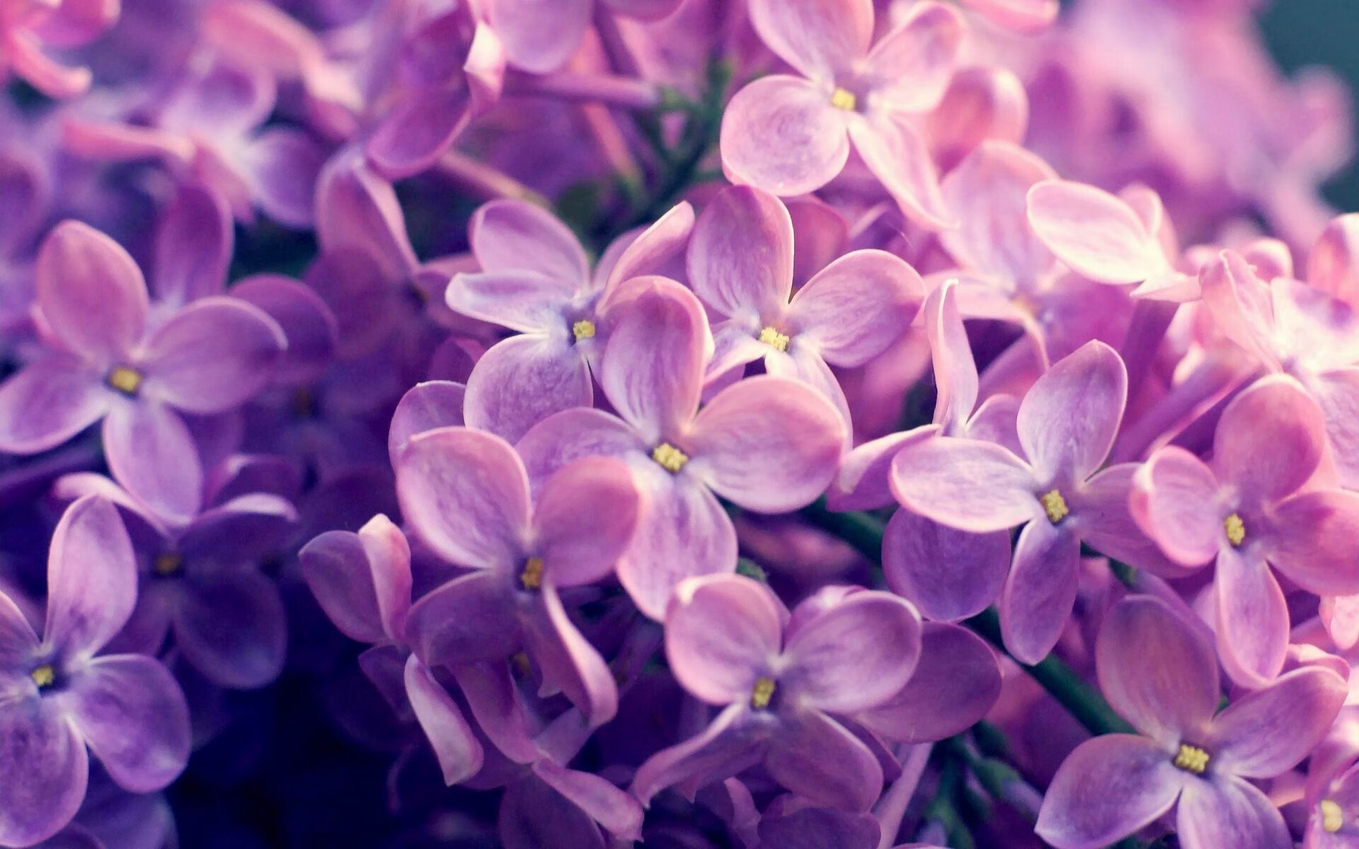 冰与火之歌，马丁内利关键回合不手软，定鼎季后赛之夜