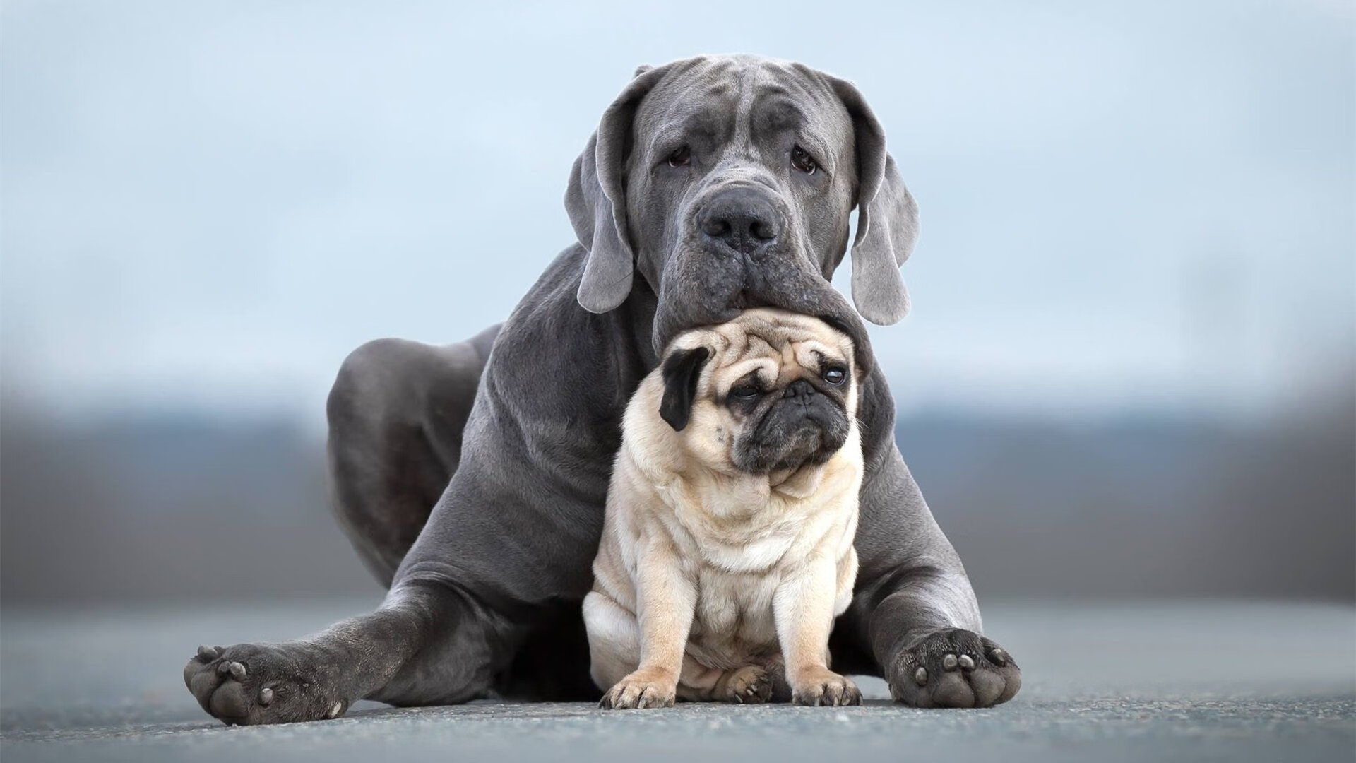 英超争冠之夜的光芒下，西亚卡姆用实力证明自己的跨界传奇