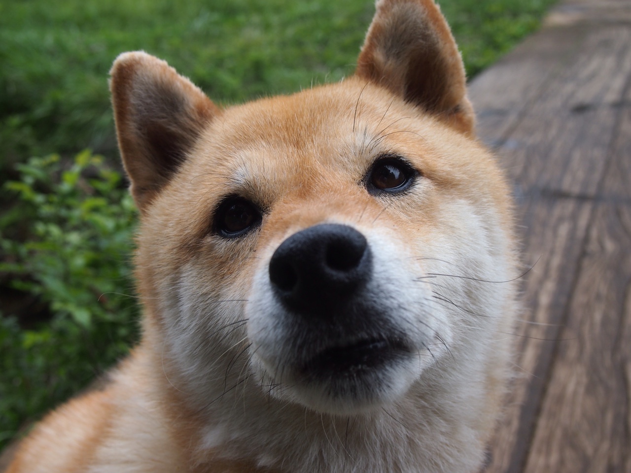 斯通斯爆发,哥伦比亚如何用战术棋盘将苏格兰钉在枷锁之中