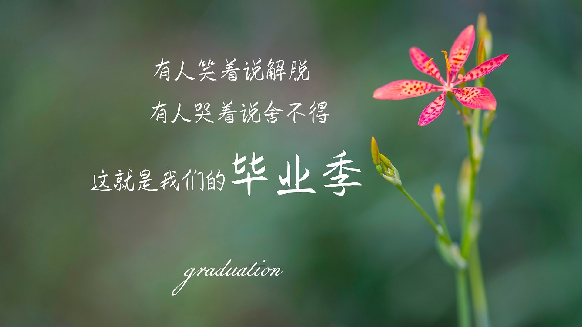 突尼斯全面压制尼日利亚，坎特关键先生闪耀非洲杯赛场