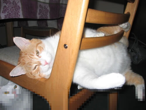 福登临危受命，罗马城上空的曼城流星雨