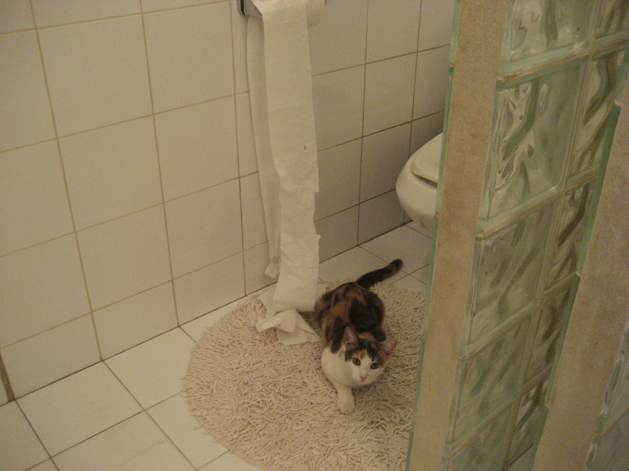 波兰力量制霸国际米兰，穆勒存在感拉满的绿茵传奇